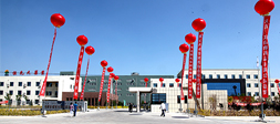 關(guān)于恒光大