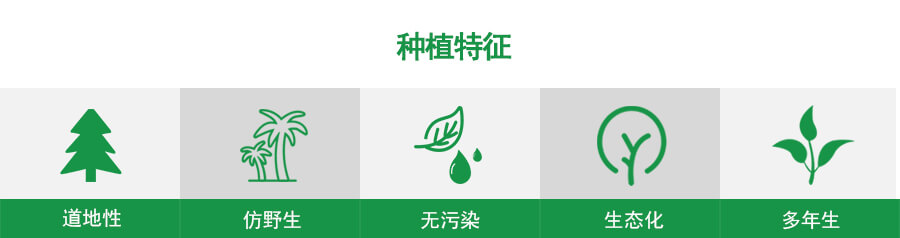 Chinese herbal medicine
