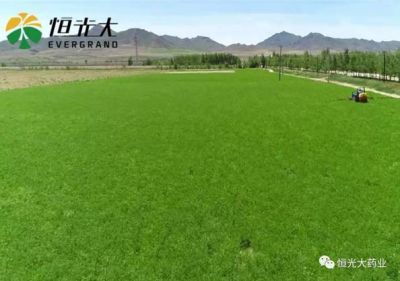 不忘初心，砥礪前行，我們一直在路上！